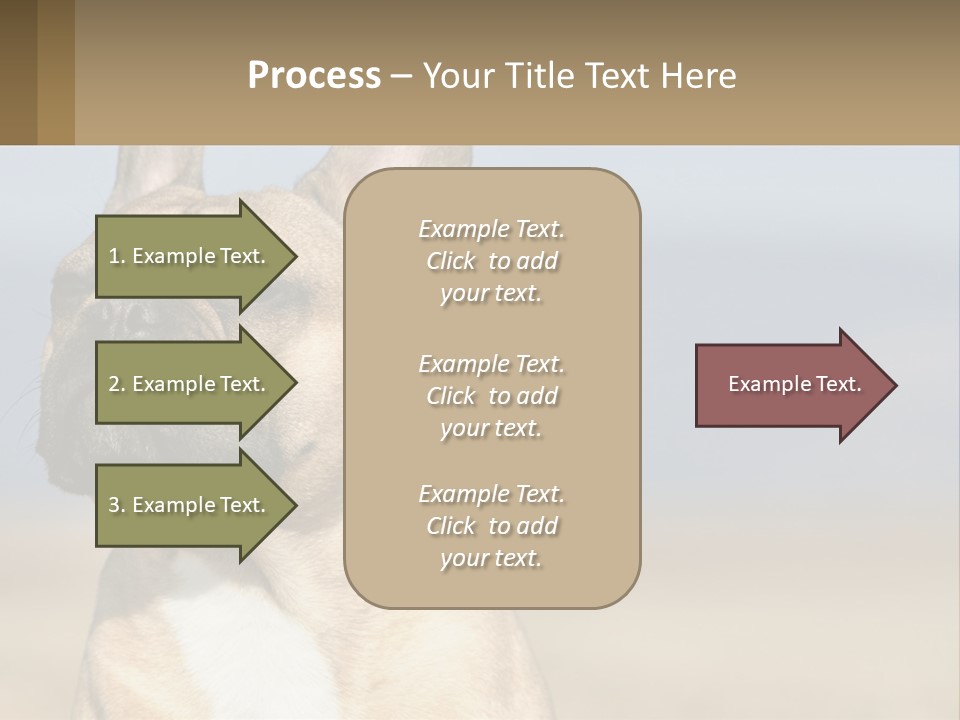 A Brown Dog Is Standing In A Field PowerPoint Template