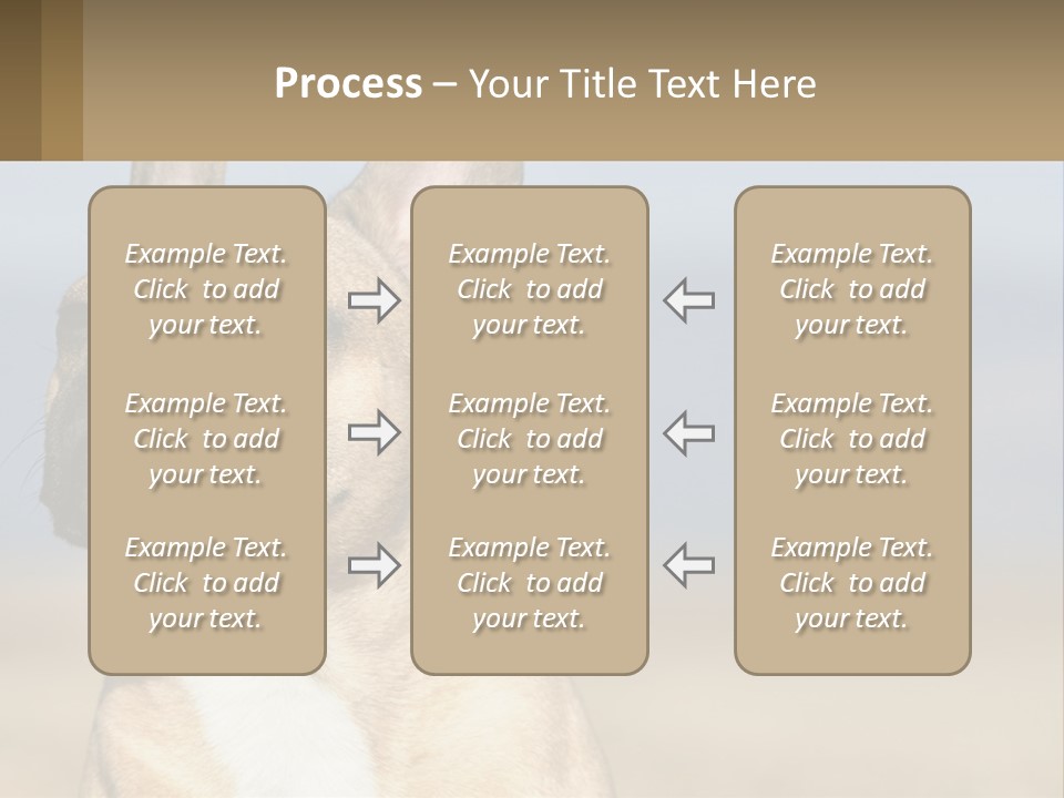 A Brown Dog Is Standing In A Field PowerPoint Template