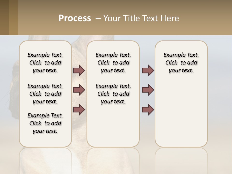 A Brown Dog Is Standing In A Field PowerPoint Template