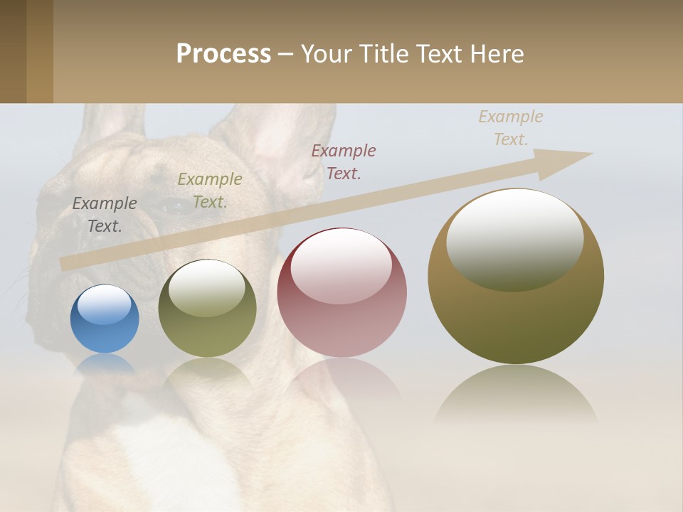 A Brown Dog Is Standing In A Field PowerPoint Template