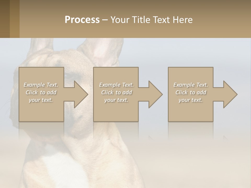 A Brown Dog Is Standing In A Field PowerPoint Template