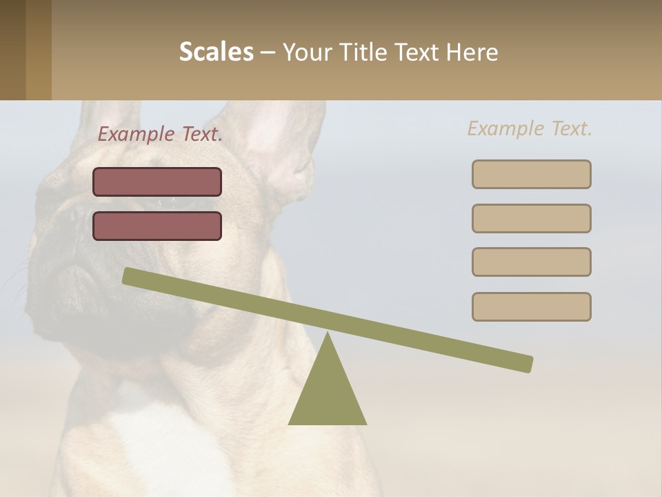 A Brown Dog Is Standing In A Field PowerPoint Template