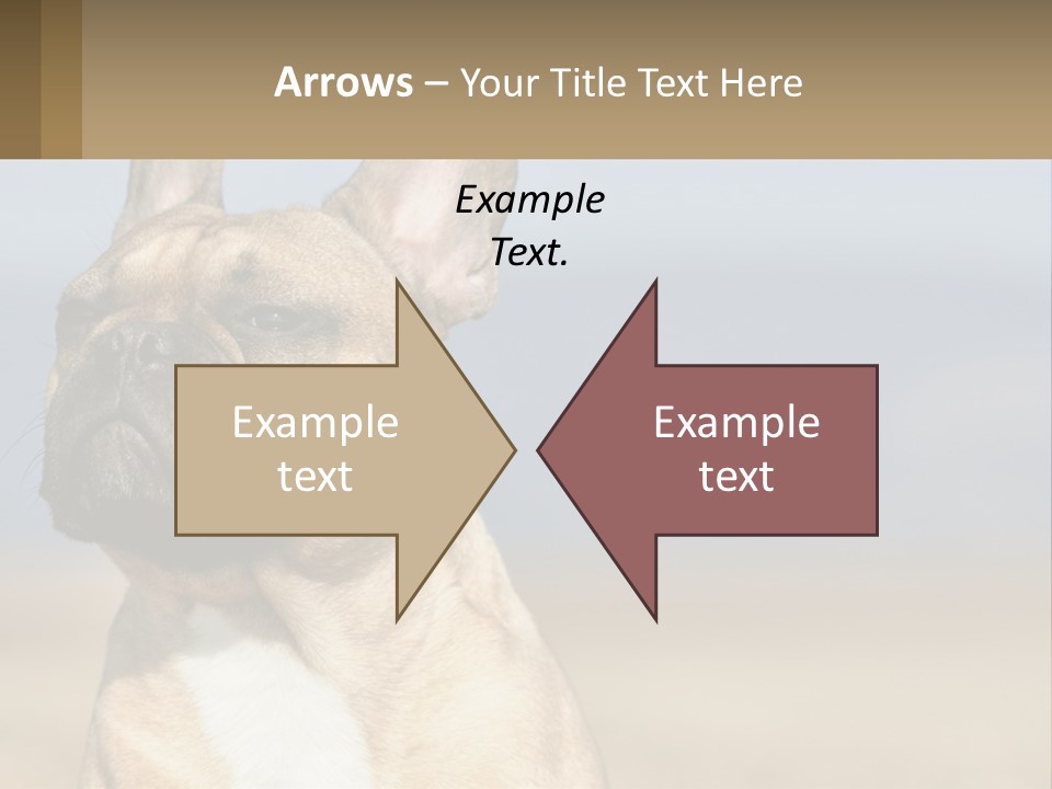 A Brown Dog Is Standing In A Field PowerPoint Template
