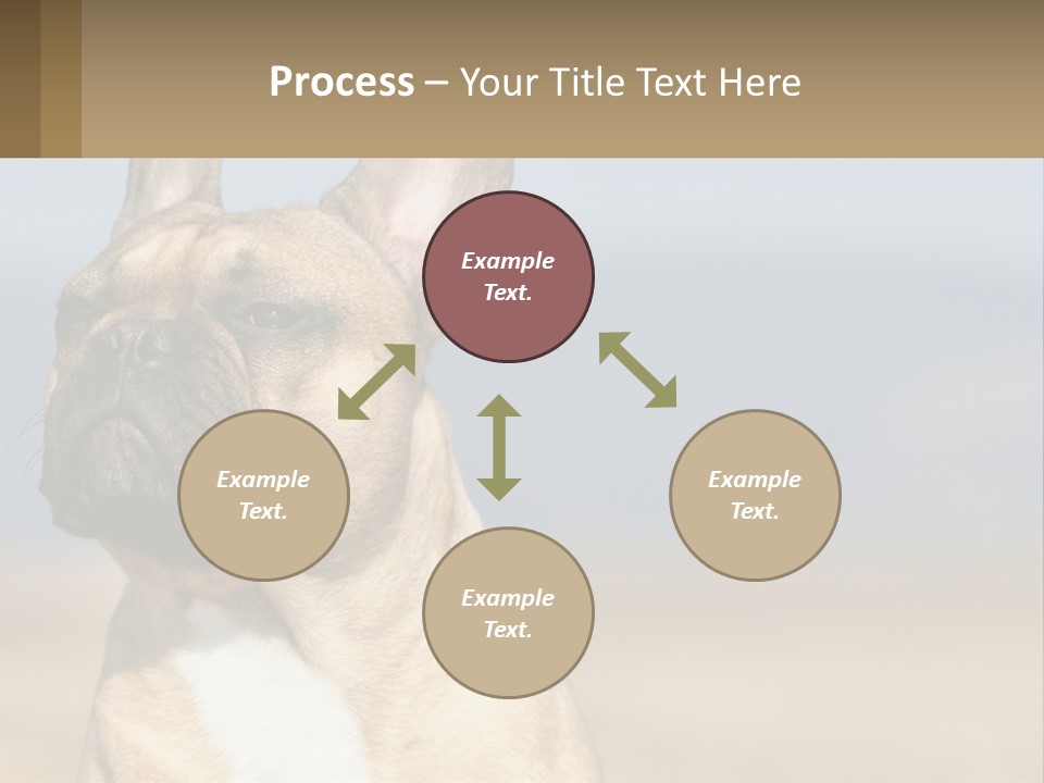 A Brown Dog Is Standing In A Field PowerPoint Template