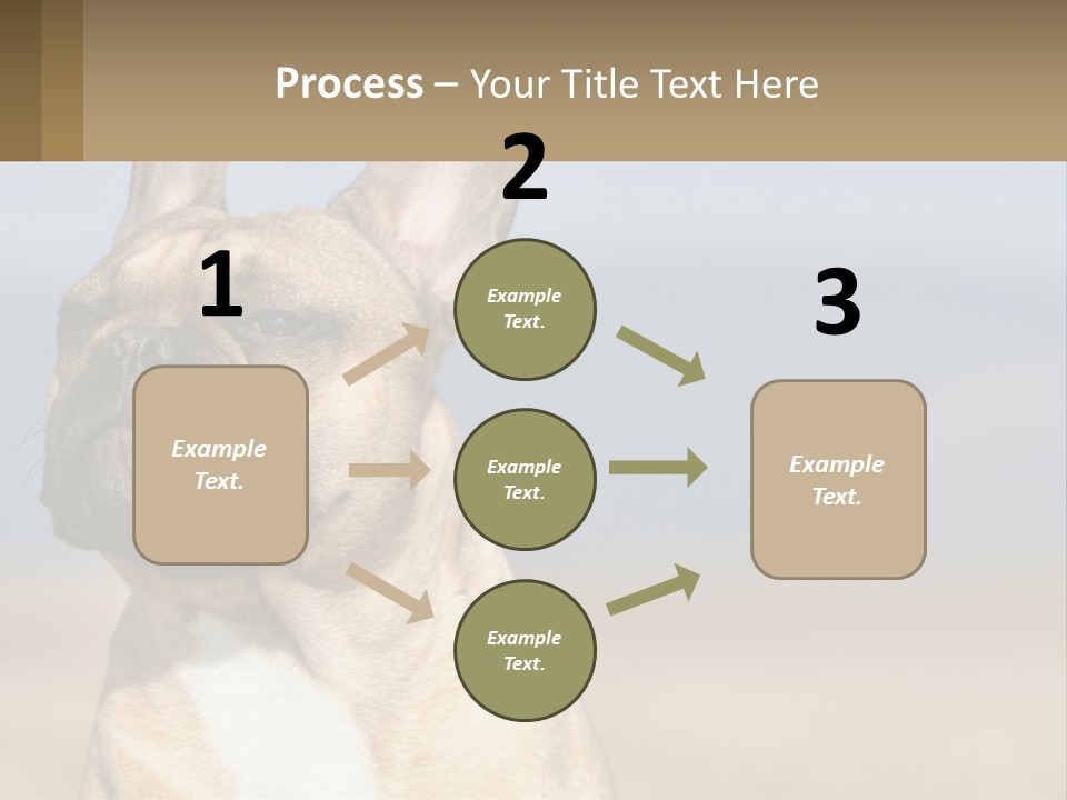 A Brown Dog Is Standing In A Field PowerPoint Template