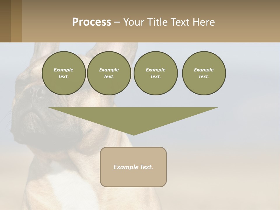 A Brown Dog Is Standing In A Field PowerPoint Template