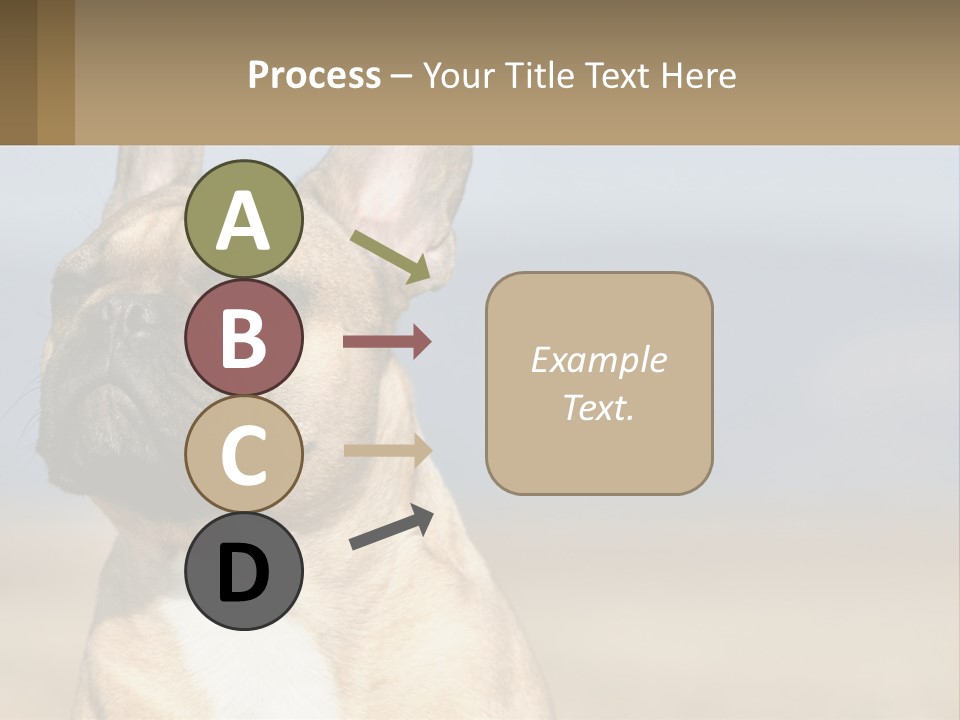 A Brown Dog Is Standing In A Field PowerPoint Template
