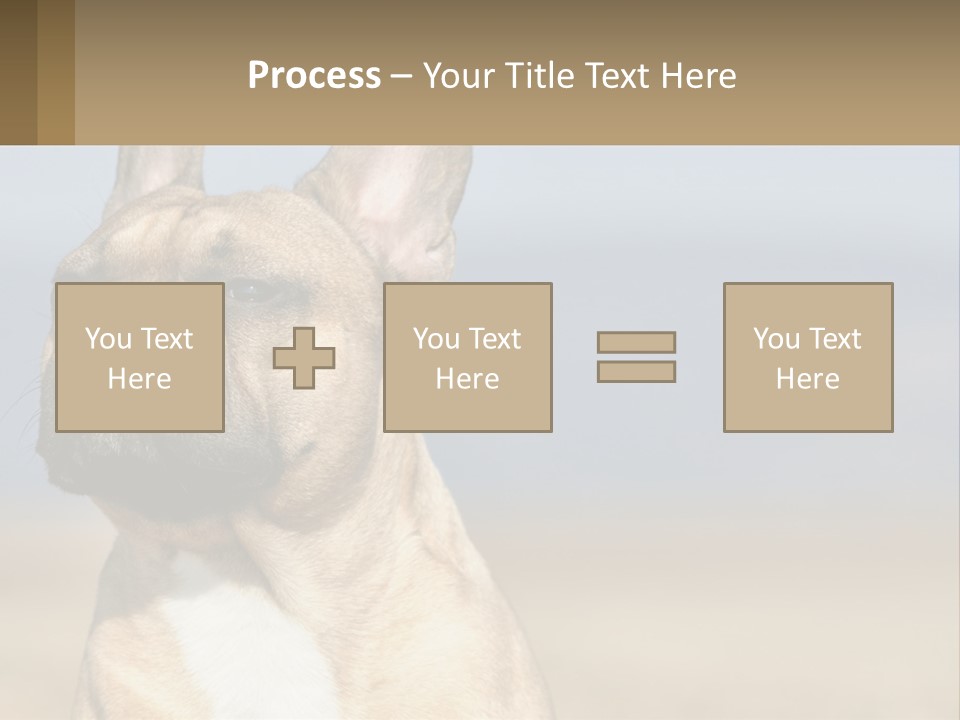 A Brown Dog Is Standing In A Field PowerPoint Template