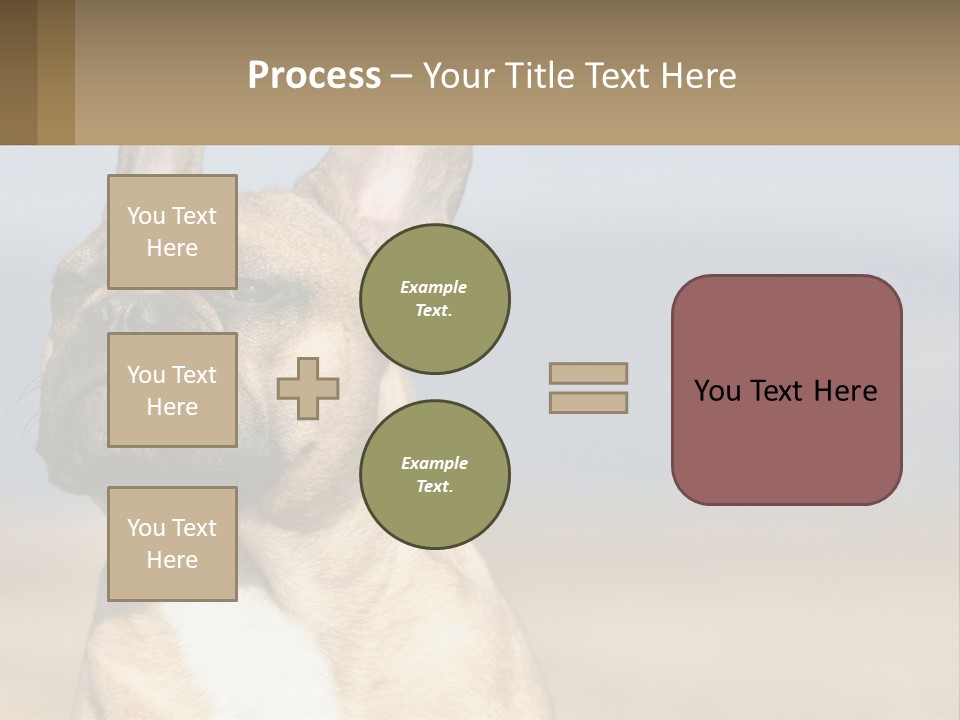 A Brown Dog Is Standing In A Field PowerPoint Template