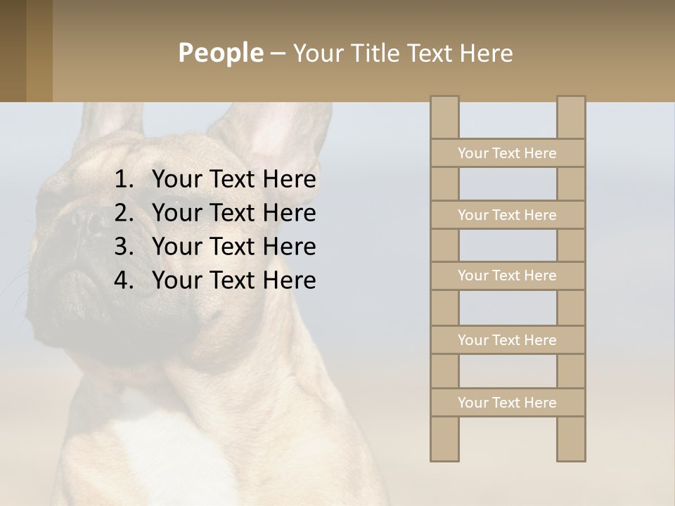 A Brown Dog Is Standing In A Field PowerPoint Template