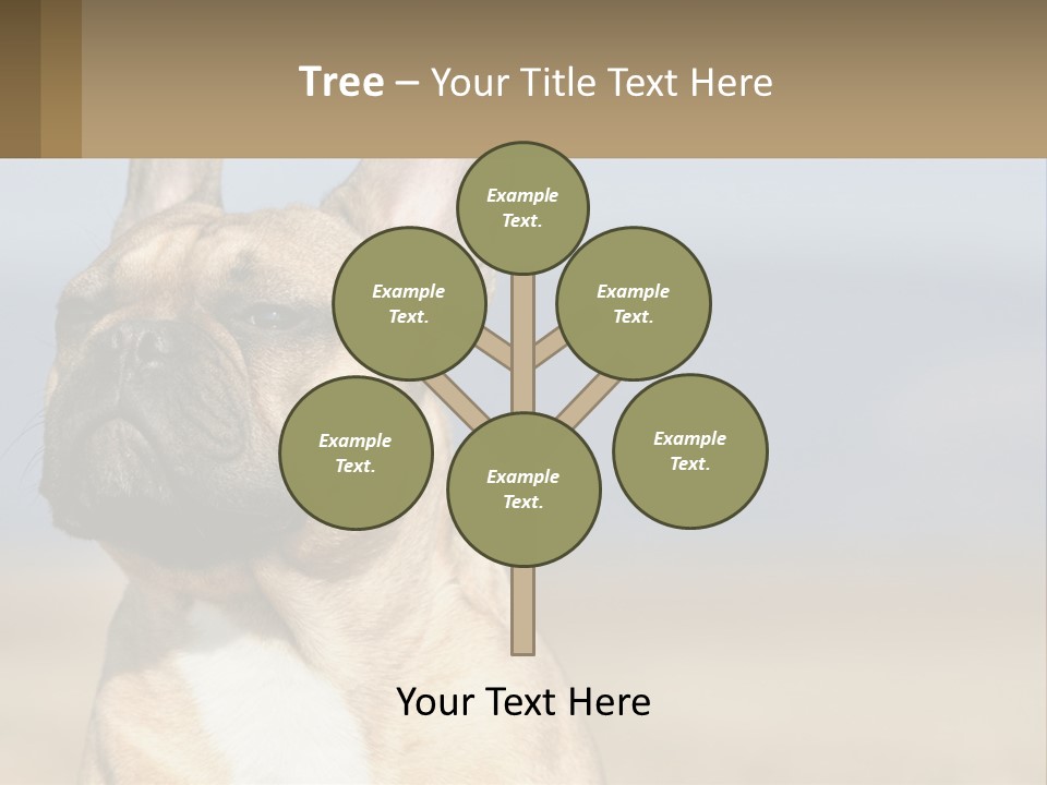 A Brown Dog Is Standing In A Field PowerPoint Template