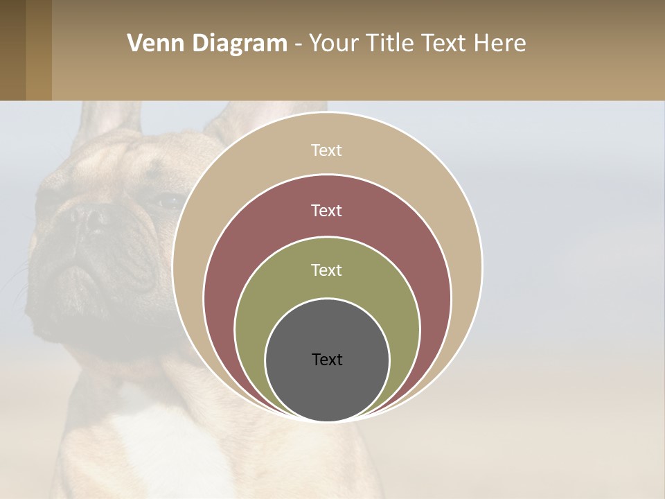 A Brown Dog Is Standing In A Field PowerPoint Template