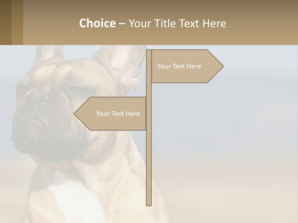 A Brown Dog Is Standing In A Field PowerPoint Template