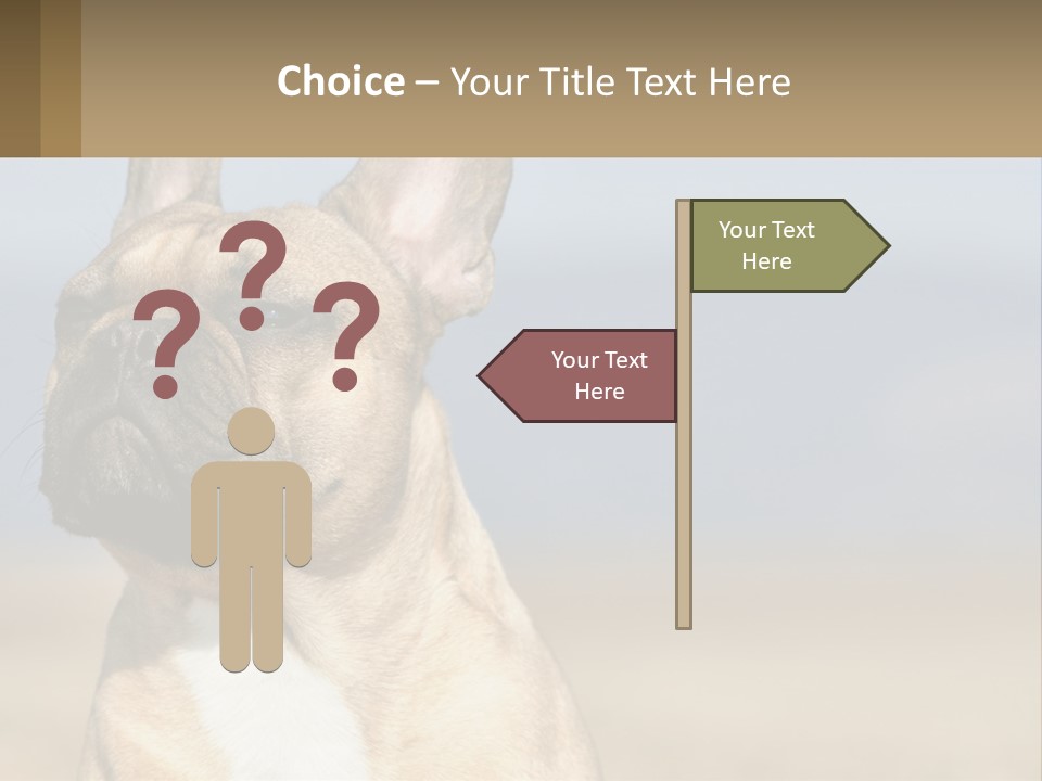 A Brown Dog Is Standing In A Field PowerPoint Template