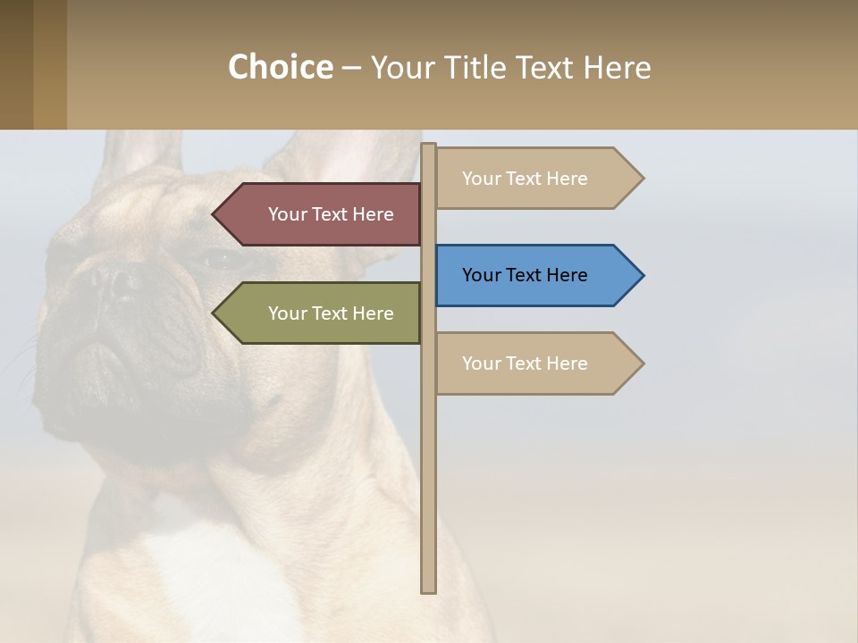 A Brown Dog Is Standing In A Field PowerPoint Template