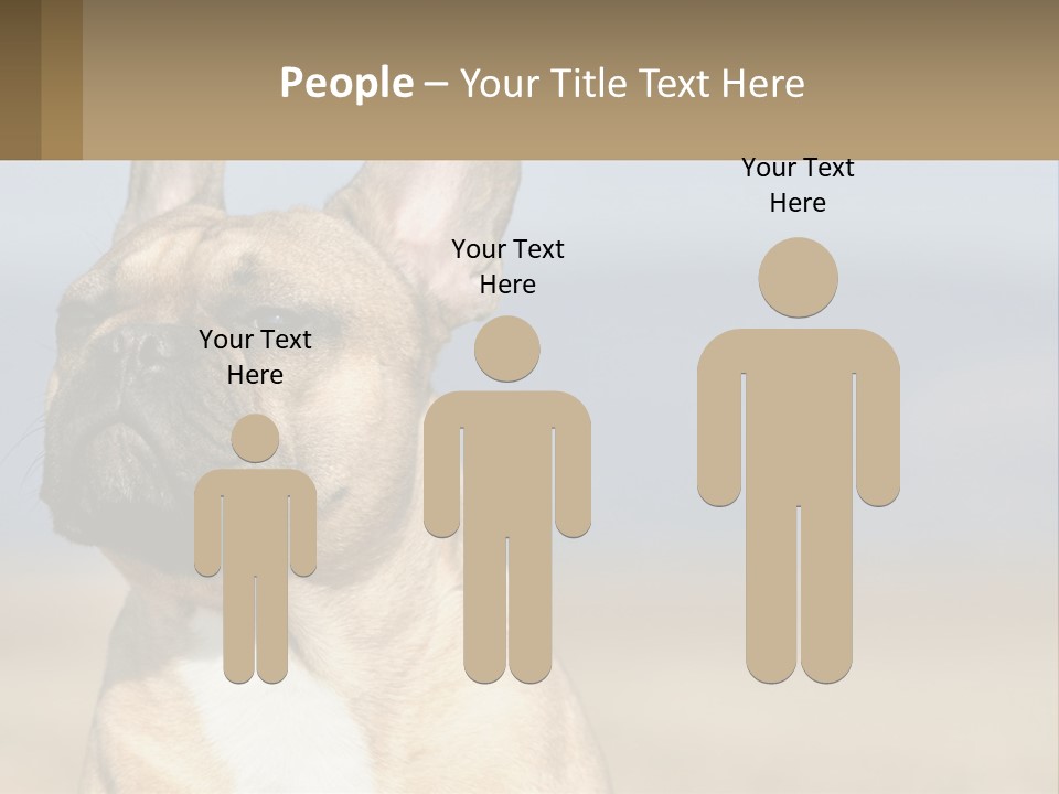 A Brown Dog Is Standing In A Field PowerPoint Template
