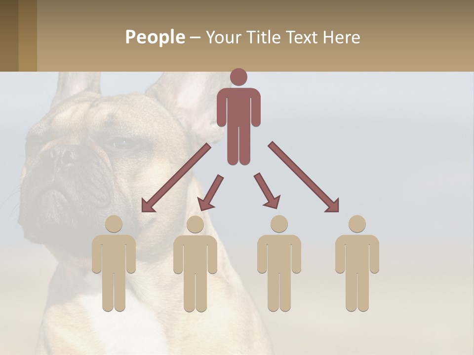 A Brown Dog Is Standing In A Field PowerPoint Template