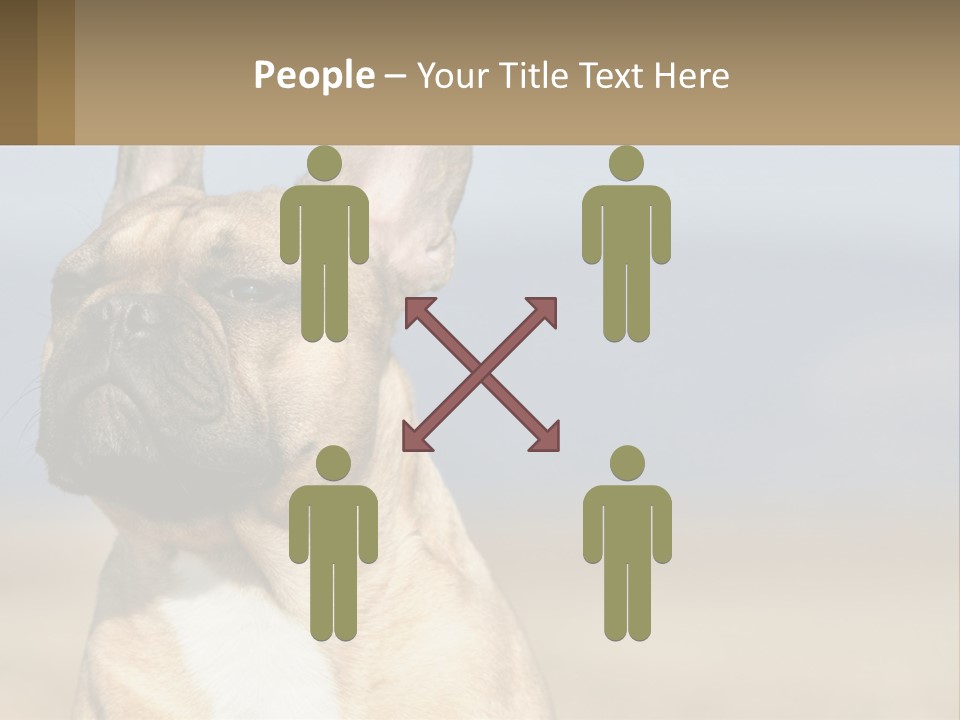 A Brown Dog Is Standing In A Field PowerPoint Template