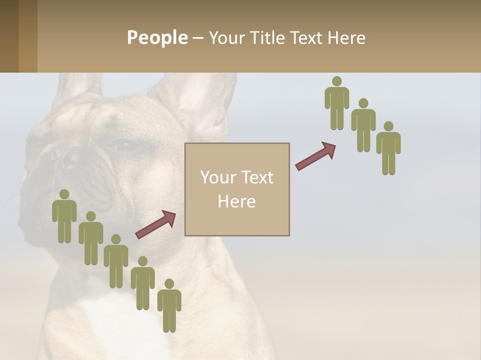 A Brown Dog Is Standing In A Field PowerPoint Template