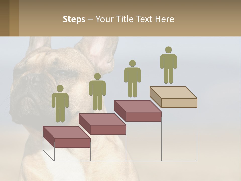 A Brown Dog Is Standing In A Field PowerPoint Template