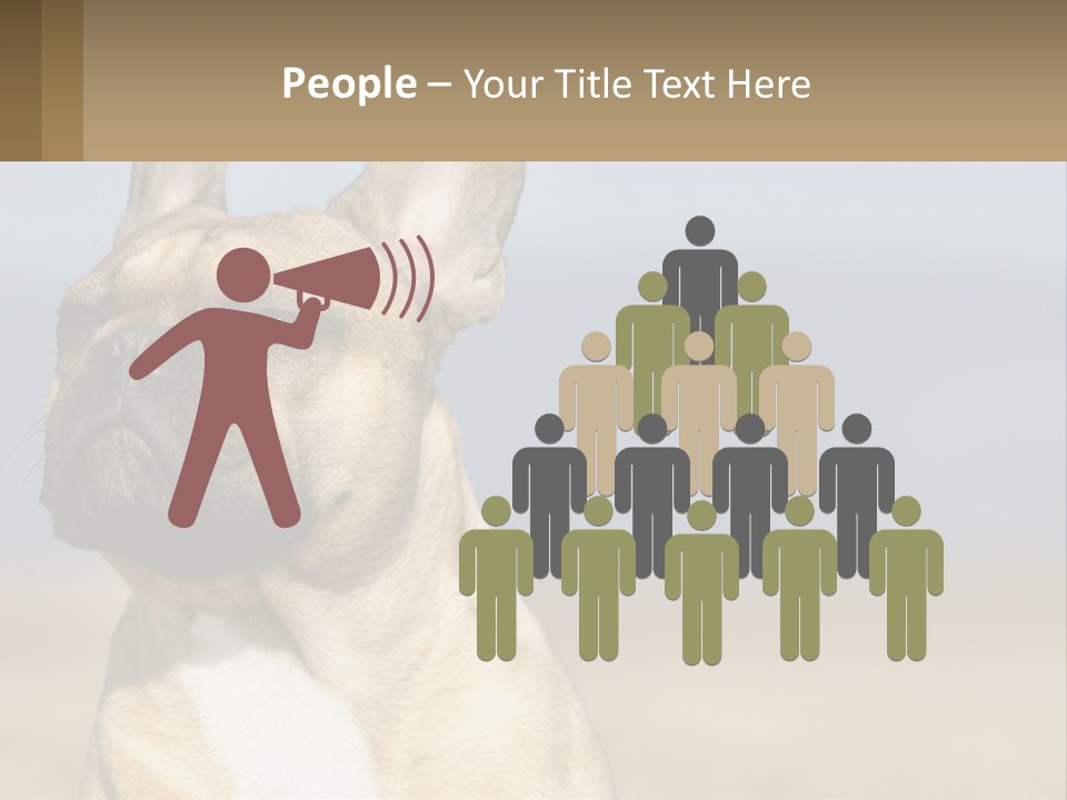 A Brown Dog Is Standing In A Field PowerPoint Template