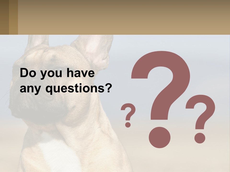 A Brown Dog Is Standing In A Field PowerPoint Template