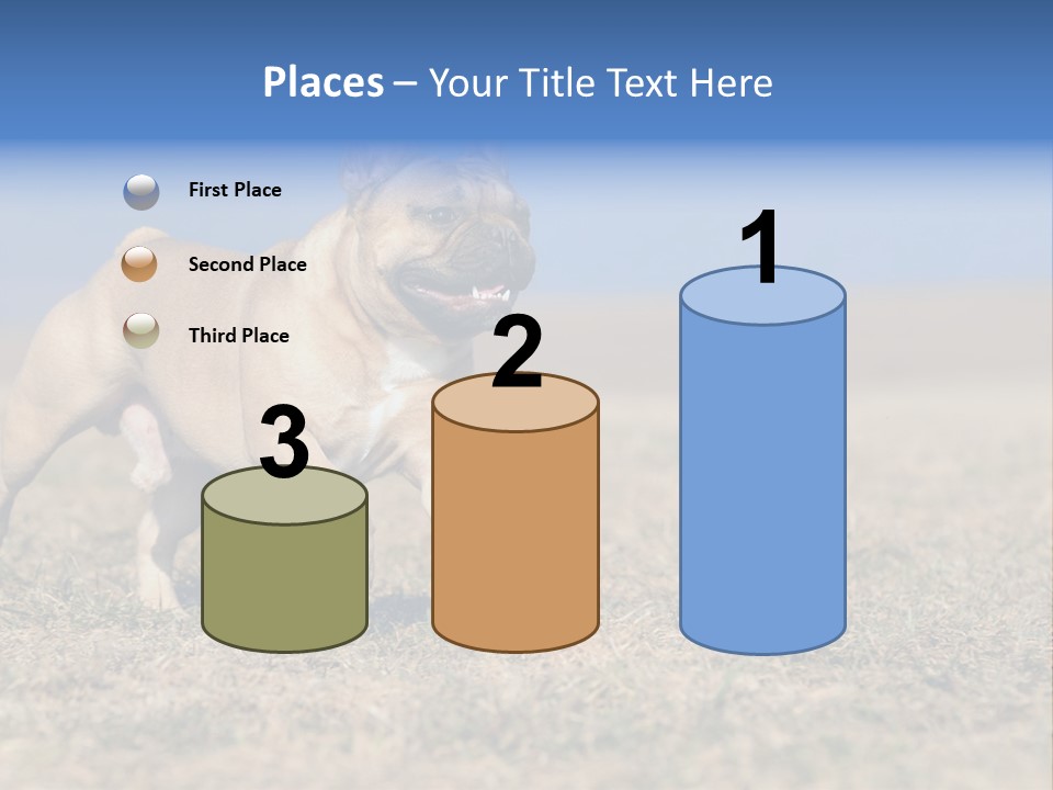 A Brown Dog Running Across A Field With A Blue Sign PowerPoint Template