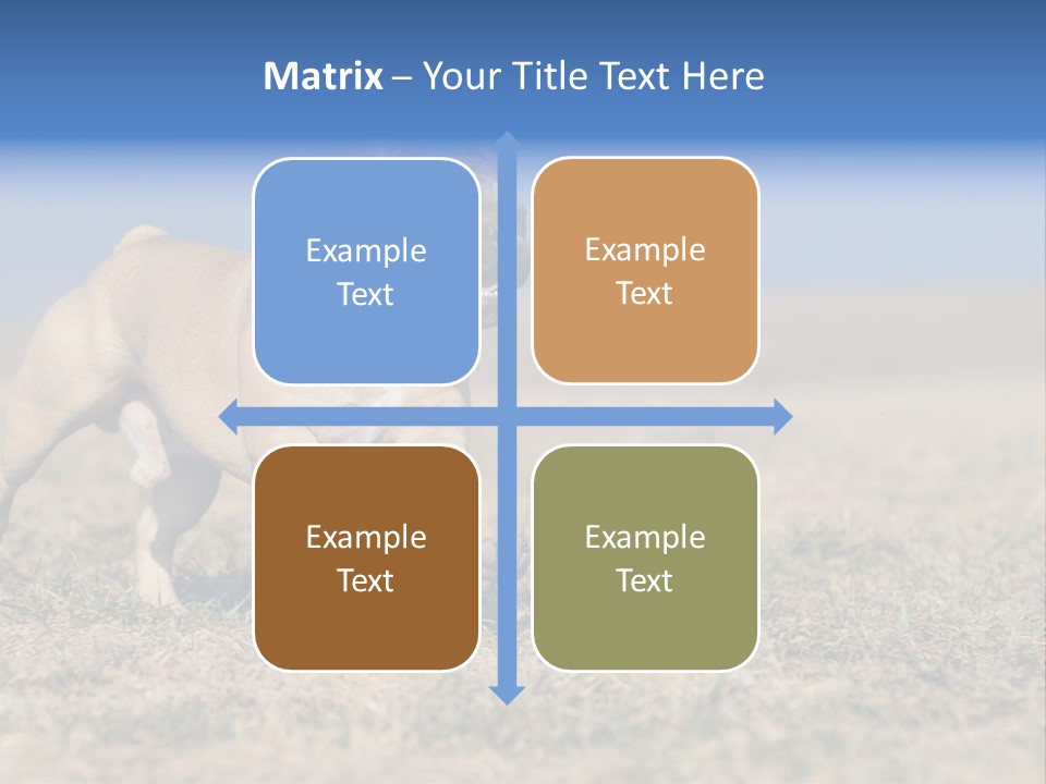 A Brown Dog Running Across A Field With A Blue Sign PowerPoint Template