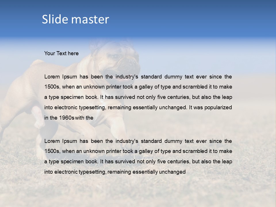 A Brown Dog Running Across A Field With A Blue Sign PowerPoint Template