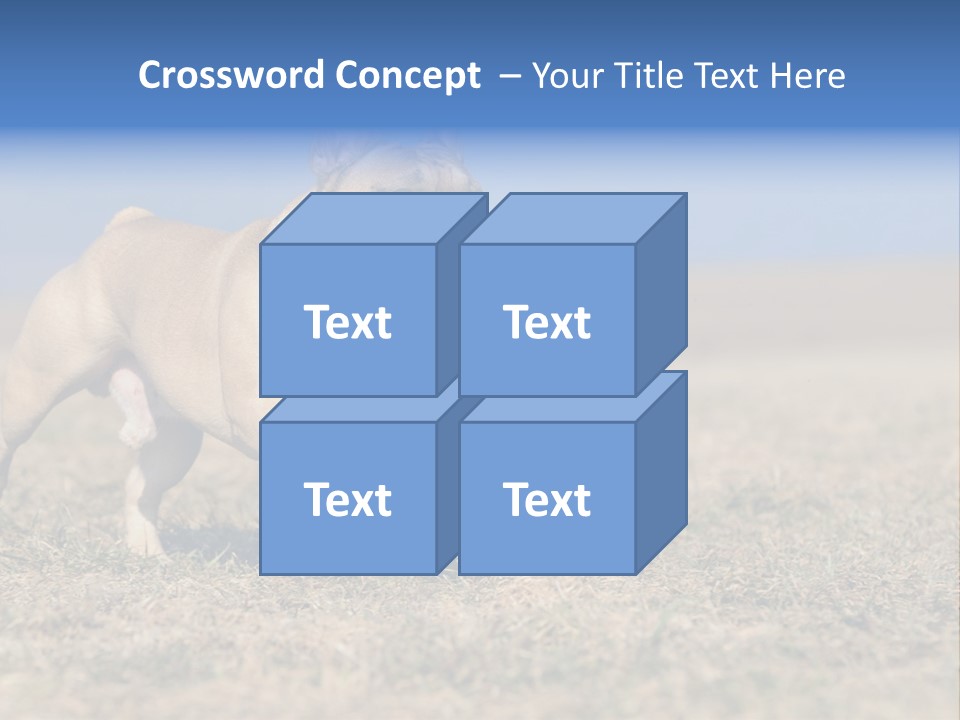 A Brown Dog Running Across A Field With A Blue Sign PowerPoint Template