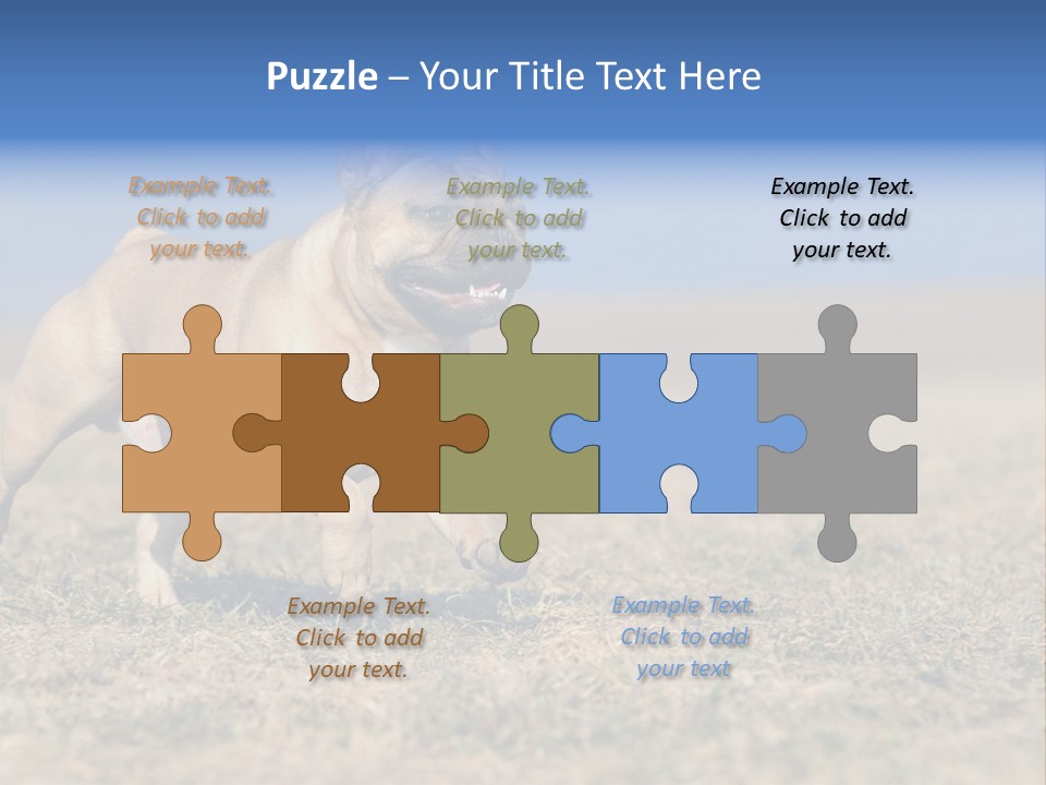 A Brown Dog Running Across A Field With A Blue Sign PowerPoint Template