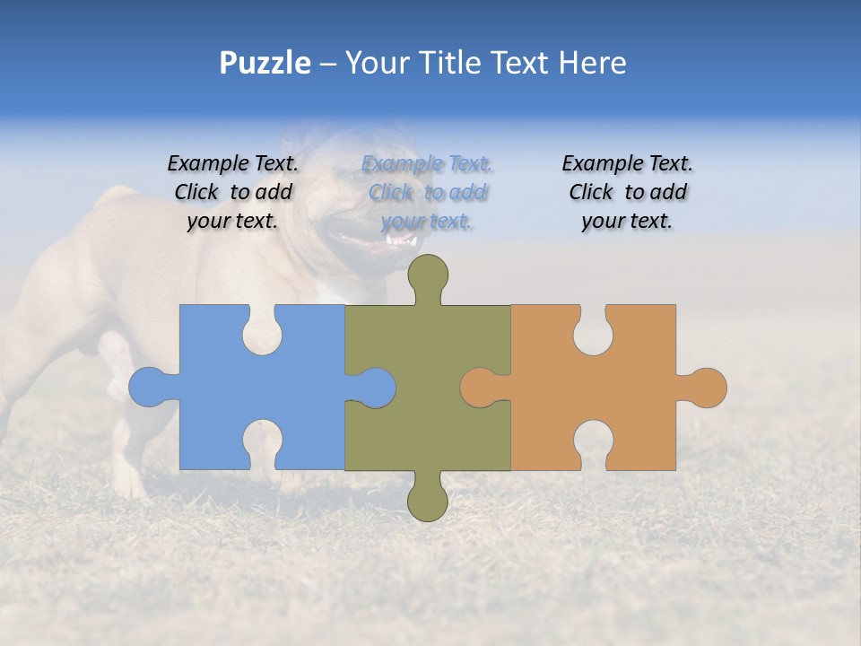 A Brown Dog Running Across A Field With A Blue Sign PowerPoint Template