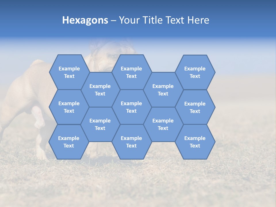 A Brown Dog Running Across A Field With A Blue Sign PowerPoint Template