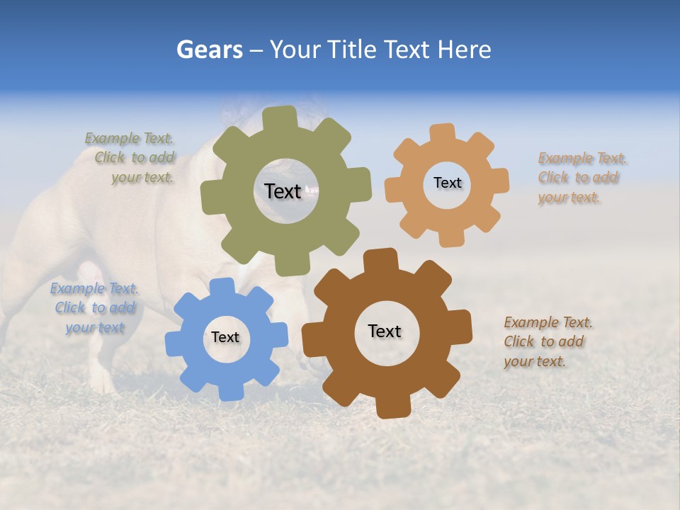 A Brown Dog Running Across A Field With A Blue Sign PowerPoint Template