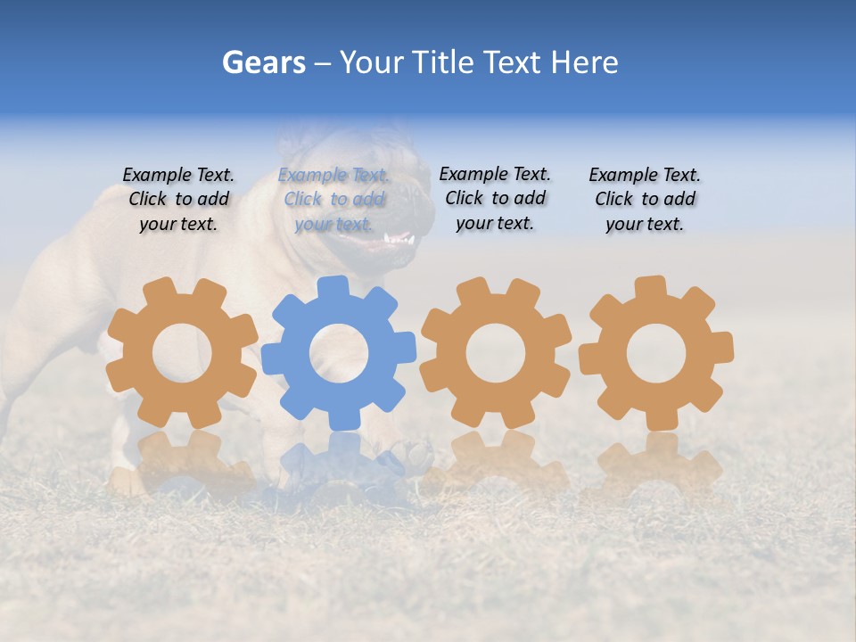 A Brown Dog Running Across A Field With A Blue Sign PowerPoint Template