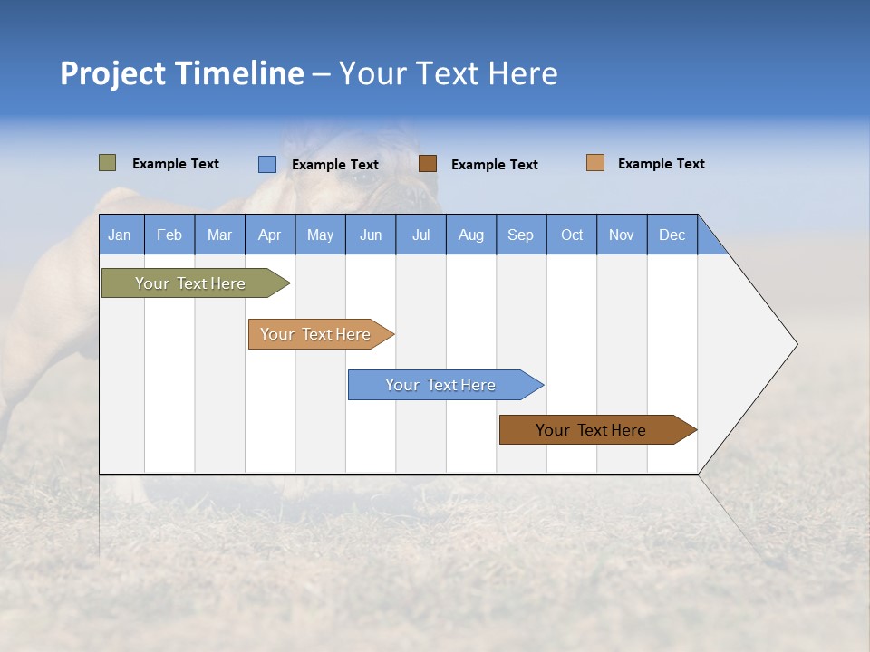 A Brown Dog Running Across A Field With A Blue Sign PowerPoint Template