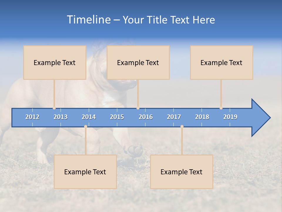 A Brown Dog Running Across A Field With A Blue Sign PowerPoint Template
