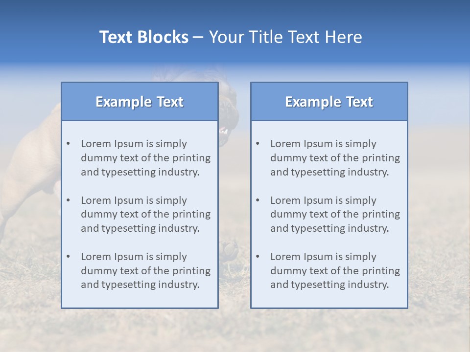 A Brown Dog Running Across A Field With A Blue Sign PowerPoint Template