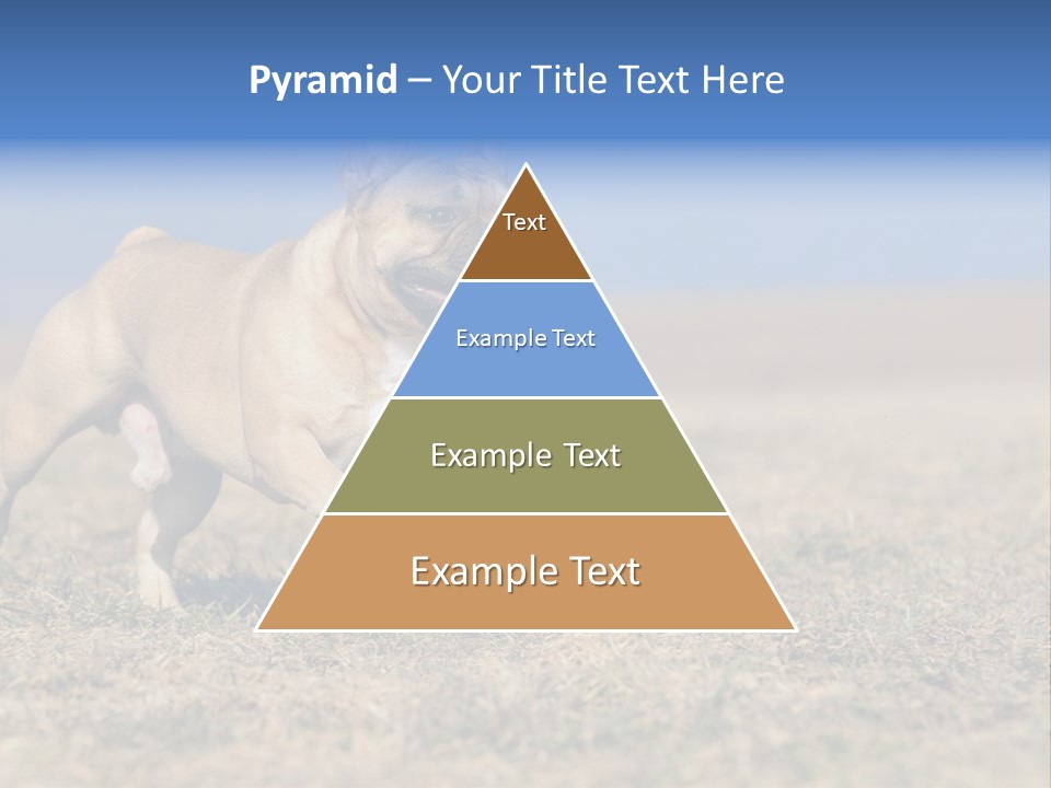 A Brown Dog Running Across A Field With A Blue Sign PowerPoint Template