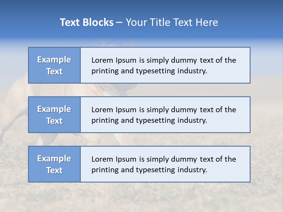 A Brown Dog Running Across A Field With A Blue Sign PowerPoint Template