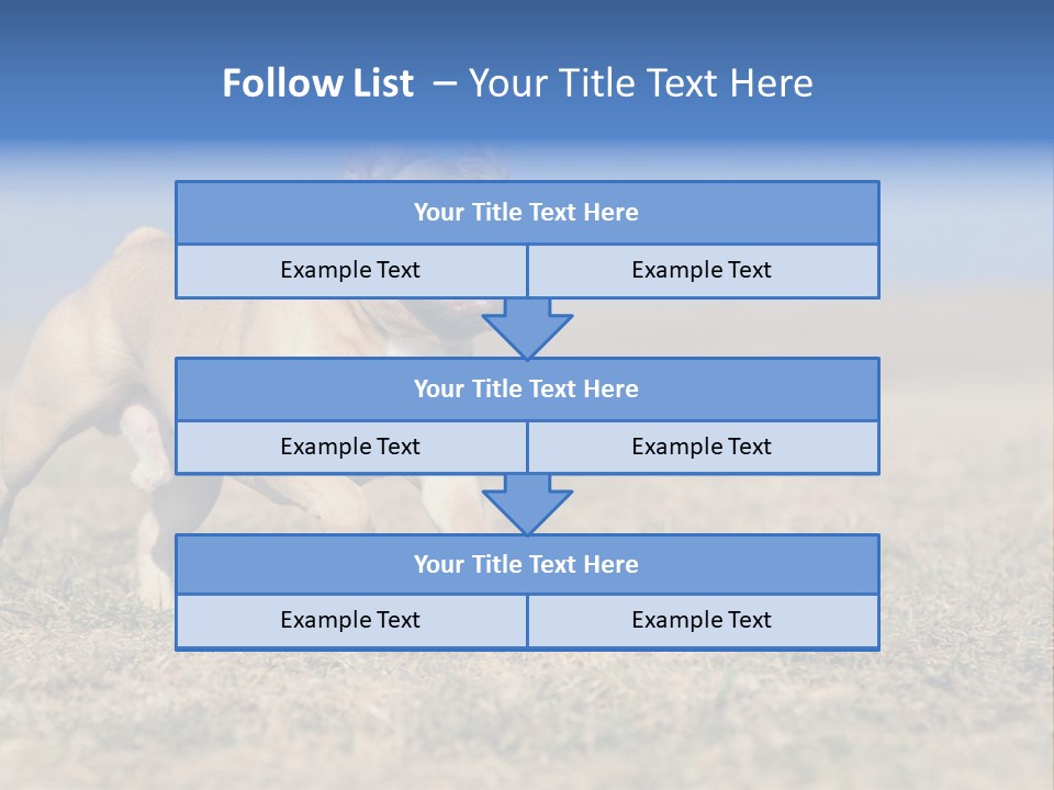 A Brown Dog Running Across A Field With A Blue Sign PowerPoint Template