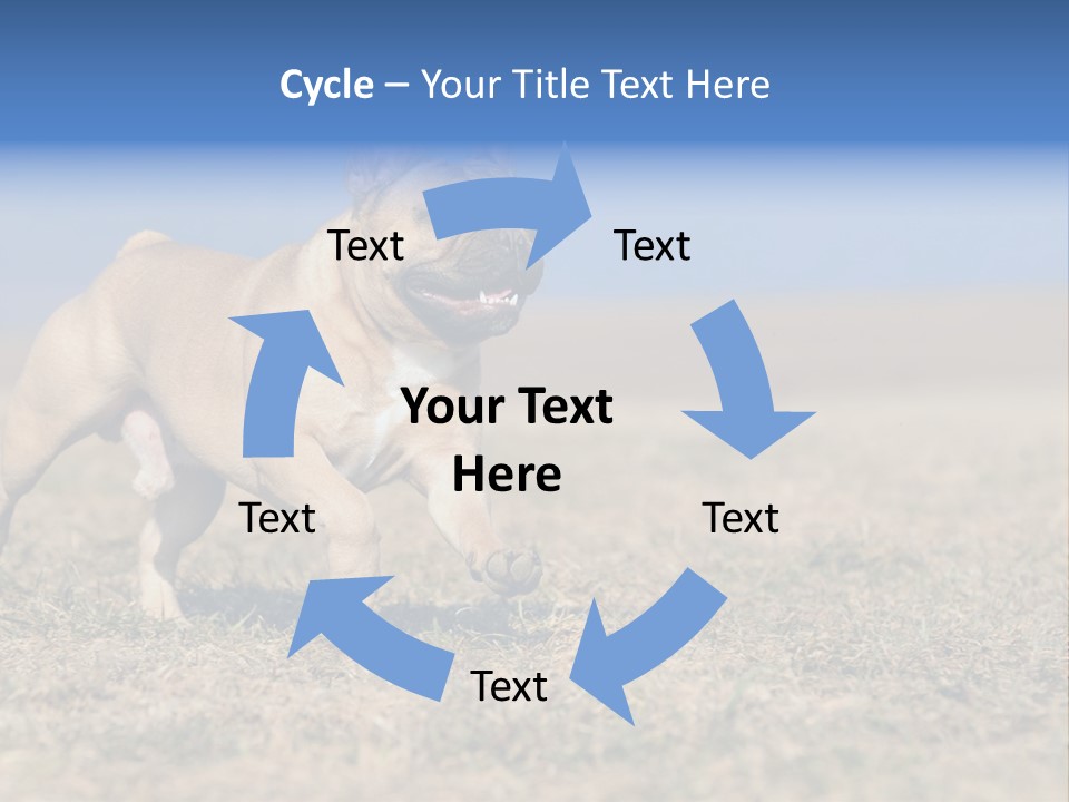 A Brown Dog Running Across A Field With A Blue Sign PowerPoint Template