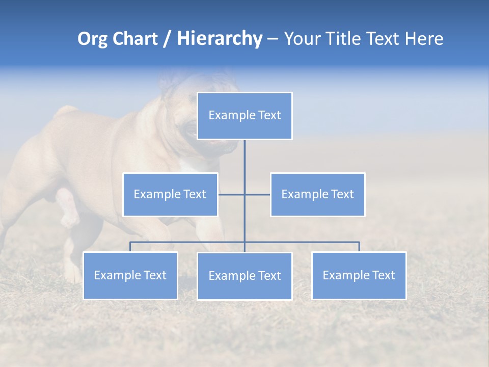A Brown Dog Running Across A Field With A Blue Sign PowerPoint Template