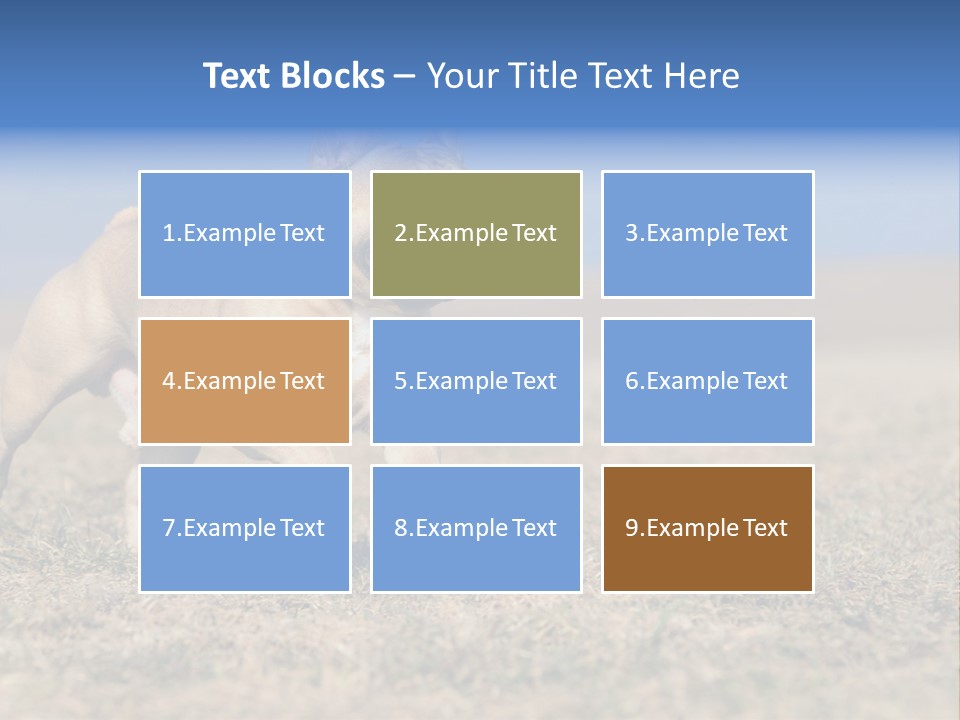 A Brown Dog Running Across A Field With A Blue Sign PowerPoint Template