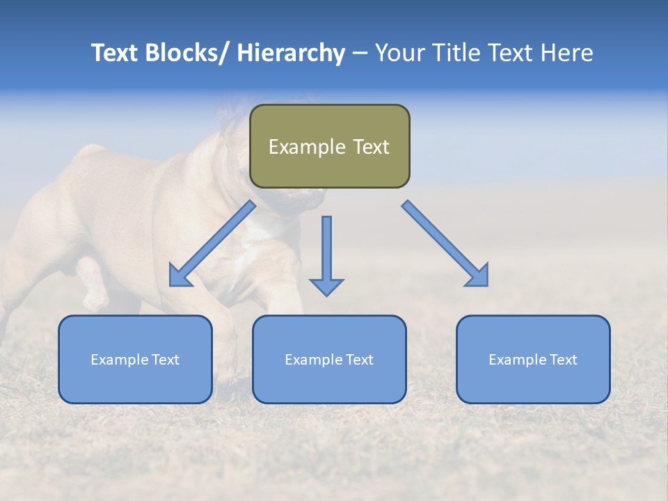 A Brown Dog Running Across A Field With A Blue Sign PowerPoint Template