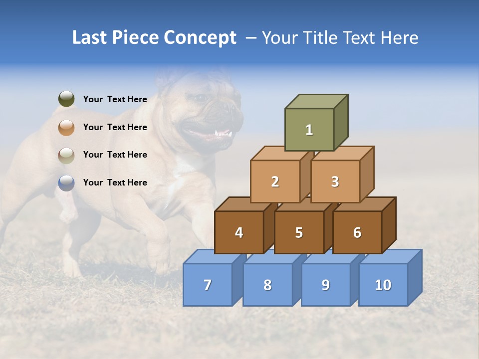 A Brown Dog Running Across A Field With A Blue Sign PowerPoint Template