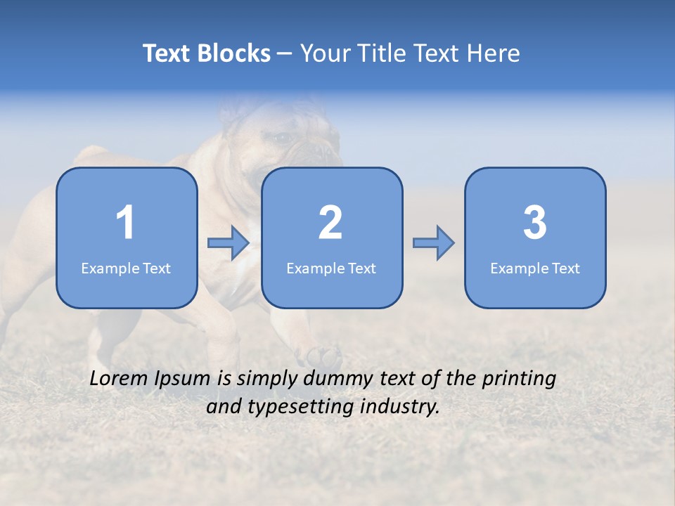 A Brown Dog Running Across A Field With A Blue Sign PowerPoint Template