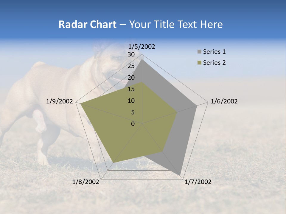A Brown Dog Running Across A Field With A Blue Sign PowerPoint Template