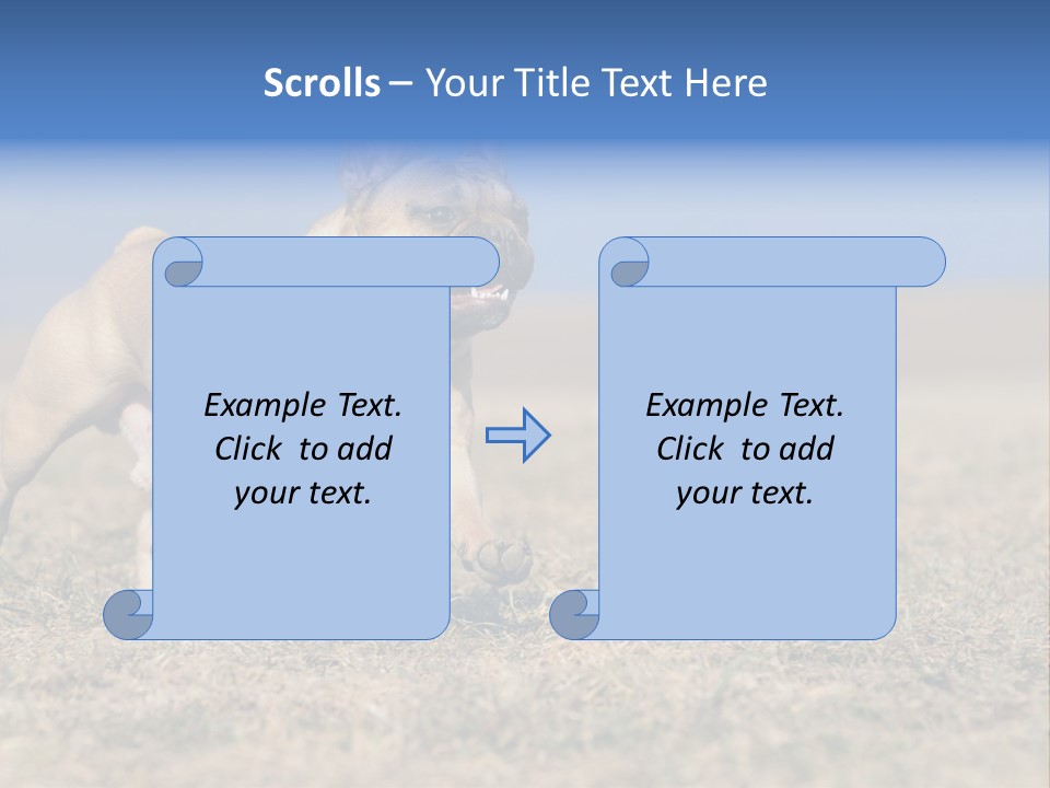 A Brown Dog Running Across A Field With A Blue Sign PowerPoint Template
