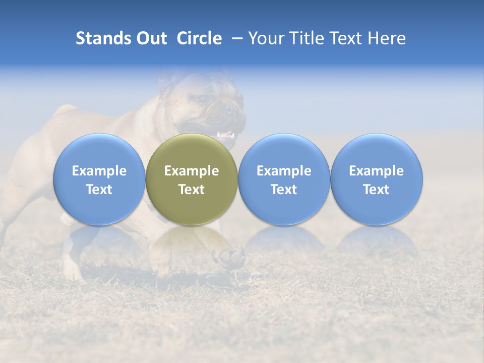 A Brown Dog Running Across A Field With A Blue Sign PowerPoint Template